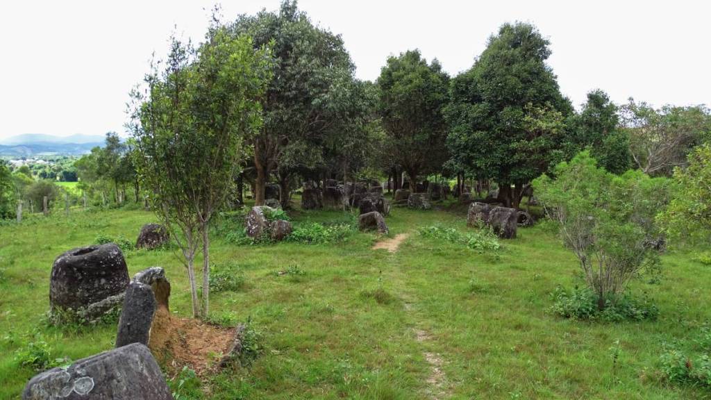 Complete and half-broken stone jars standing on the grass and among young trees on site three in the Plain of Jars