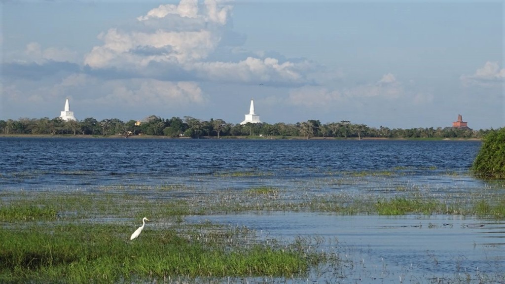An egret wades through the blue waters of Tissa Wewa lake in Anuradhapura, while the horizon is dominated by three giant stupas on the other bank