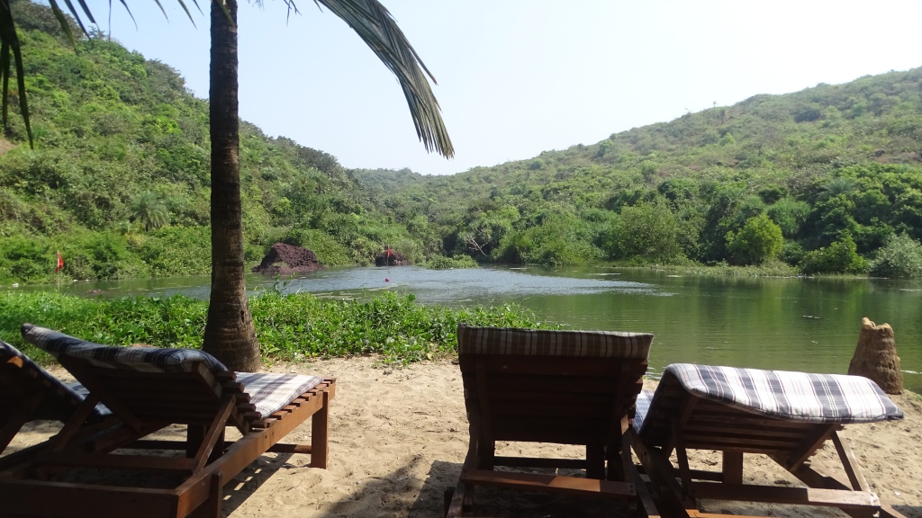Empty sunbeds lie on the sand under palm trees, overlooking a small, green lake surrounded with greenery near Arambol