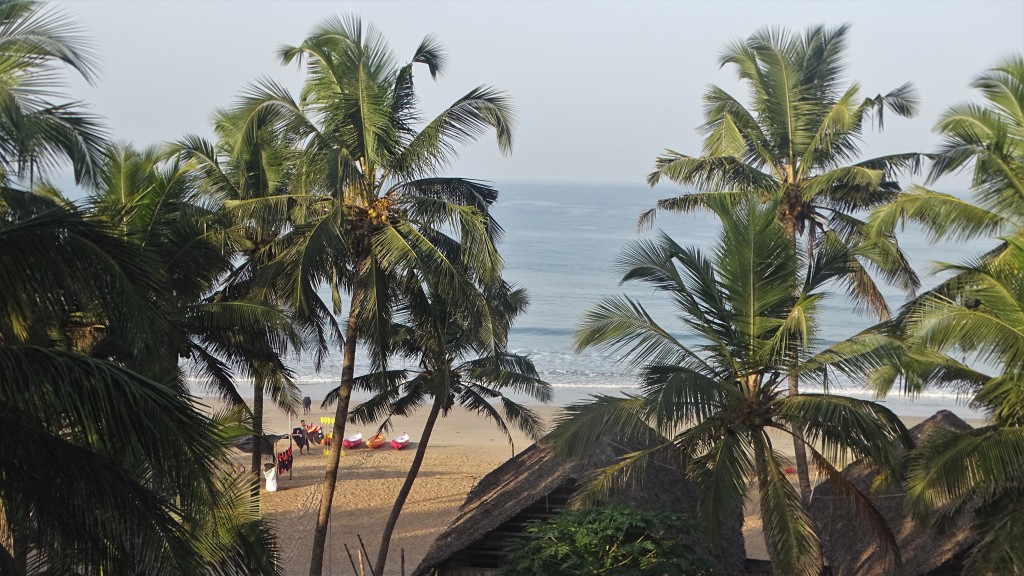 A bird eye view at Agonda beach with straw-covered beach huts, palms, golden sand and calm sea